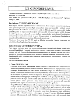 LE GIMNOSPERME - Comunit&agrave; Montana Valtellina di Sondrio