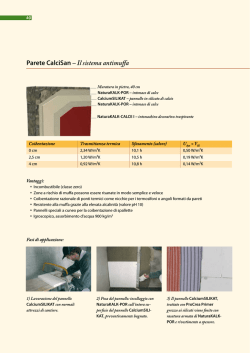 Parete CalciSan &ndash; Il sistema antimuffa