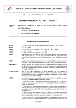 Determinazione del 16 Settembre, n. 384 [file]