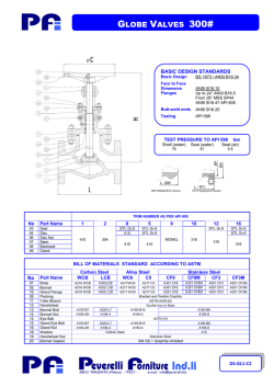 DS-GL1-C2 Globe valve 300# flanged RF