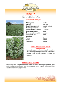 FAVETTA - Pro Seme