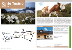 Cinte Tesino