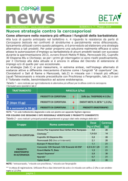 Nuove strategie contro la cercosporiosi 1