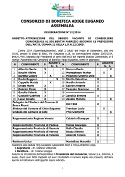 Attribuzione del seggio vacante di Consigliere Consorziale al sig