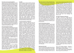 interno - Capoterra Punto NET