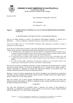 Combustione ramaglie e residui vegetali