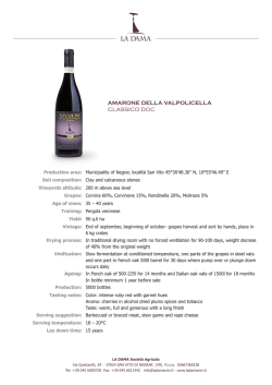 AMARONE DELLA VALPOLICELLA CLASSICO DOC
