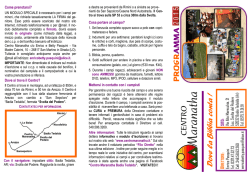 D ove la Bibbia conta !