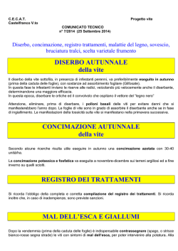 DISERBO AUTUNNALE della vite