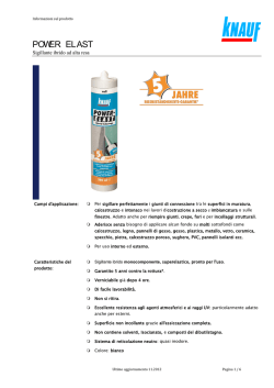 Scheda Tecnica_ Power Elast 300ml