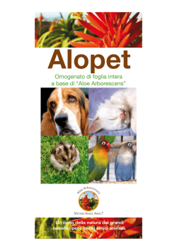 Catalogo Integratori Angel Ariel