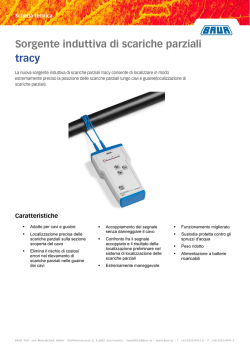 Sorgente induttiva di scariche parziali tracy