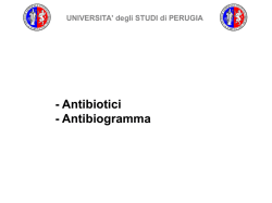 Antibiogramma - WordPress.com