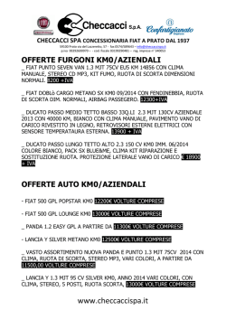offerte furgoni km0/aziendali