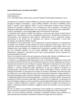 LE &ldquo;DIVERSE FACCE&rdquo; DI STAPHYLOCOCCUS SPP