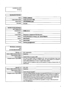 Curriculum Vitae LORENZO POZZA