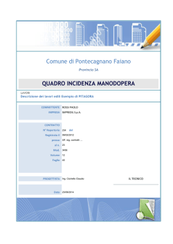 Quadro incidenza manodopera