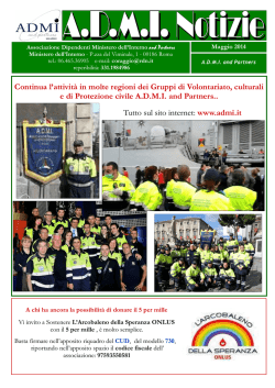 14 pagine di informazioni A.D.M.I. and Partners (fine luglio 2014)