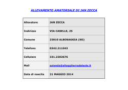 CUCCIOLATA di JAN ZECCA