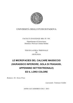 Documento PDF (Tesi) - Università degli Studi di Padova