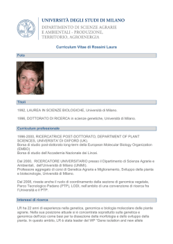 Curriculum Vitae di Rossini Laura