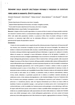 scarica - Senigallia