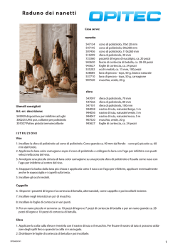 Raduno dei nanetti