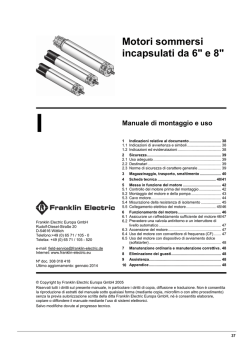Motori sommersi incapsulati da 6" e 8"