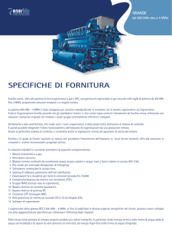 it - Enerblu Cogeneration