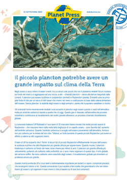 Il piccolo plancton potrebbe avere un grande impatto sul clima della