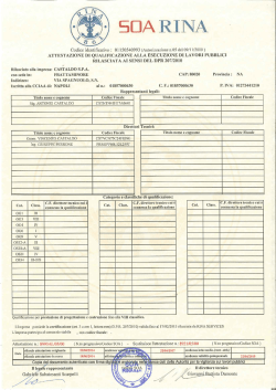 SOA - Castaldo S.p.A.