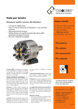 WAGNER&reg; testa per tornire