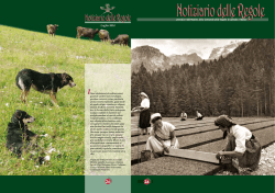 notiziario n&deg; 26 - Regole di Spinale e Manez