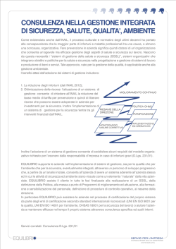 CONSULENZA NELLA GESTIONE INTEGRATA DI