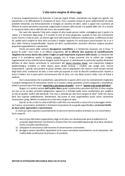 approfondimento Olio