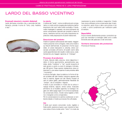 LARDO DEL BASSO VICENTINO