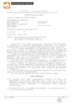 Testo della delibera - Provincia di Treviso