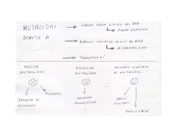 Riparazione