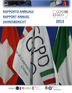 Rapporto attività 2013