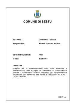 COMUNE DI SESTU