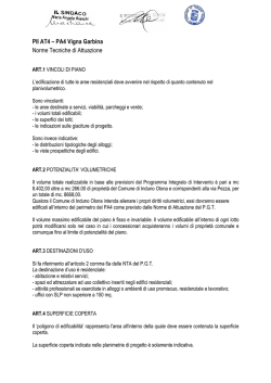 Allegato 15) - Norme Tecniche di Attuazione del P.I.I.