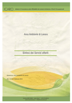 Area Ambiente di Lavoro Sintesi dei Servizi offerti