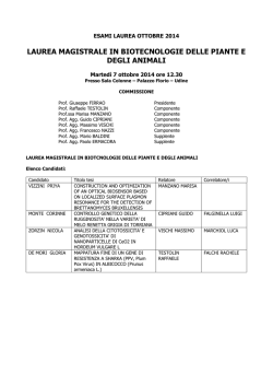 Commissione di laurea del 7 ottobre 2014