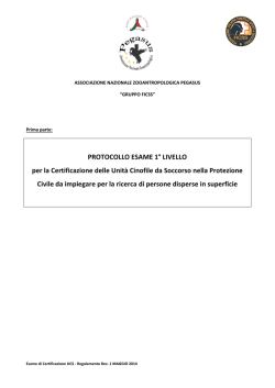 Prima parte regolamento UCS_maggio 2014_0