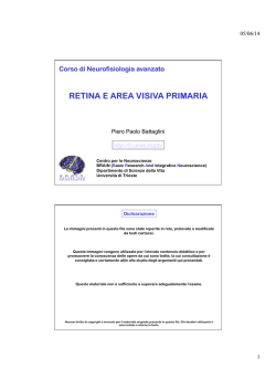 1 retina e area visiva primaria