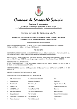 Dissesto su Strada Comunale Cappellezza