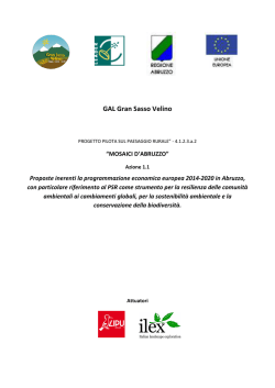 Osservazioni al PSR Abruzzo_def - RICA