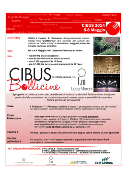 (Microsoft PowerPoint - Flayer Bollicine finale .ppt