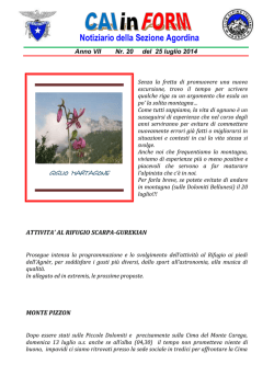 nr. 20 del 25 lu