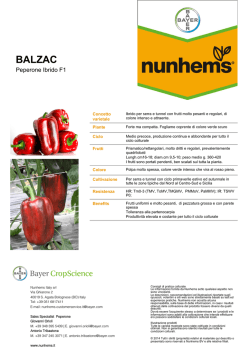 Scheda Tecnica New PPS Balzac F1.pptx